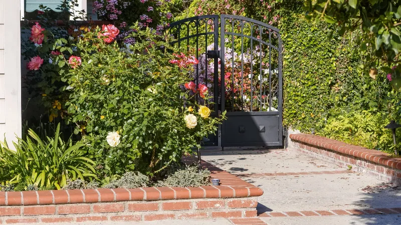 Cómo crear un jardín de salvia rosa en casa