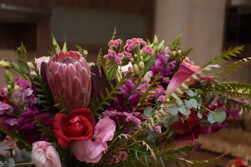 La amapola rosa y su papel en las bodas y eventos especiales