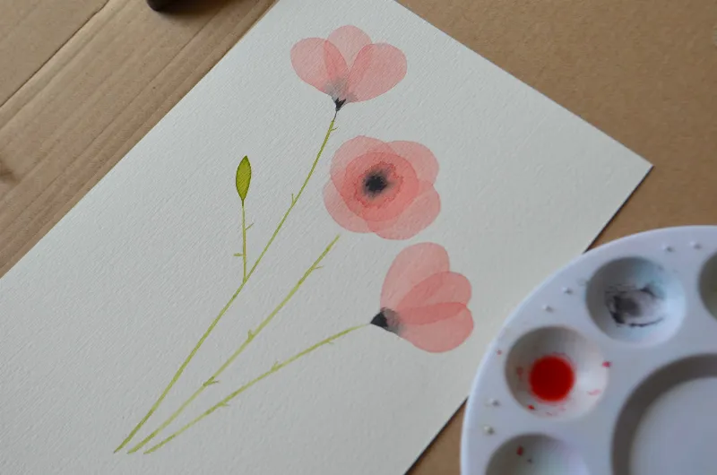 Aprende a dibujar amapolas rosas paso a paso